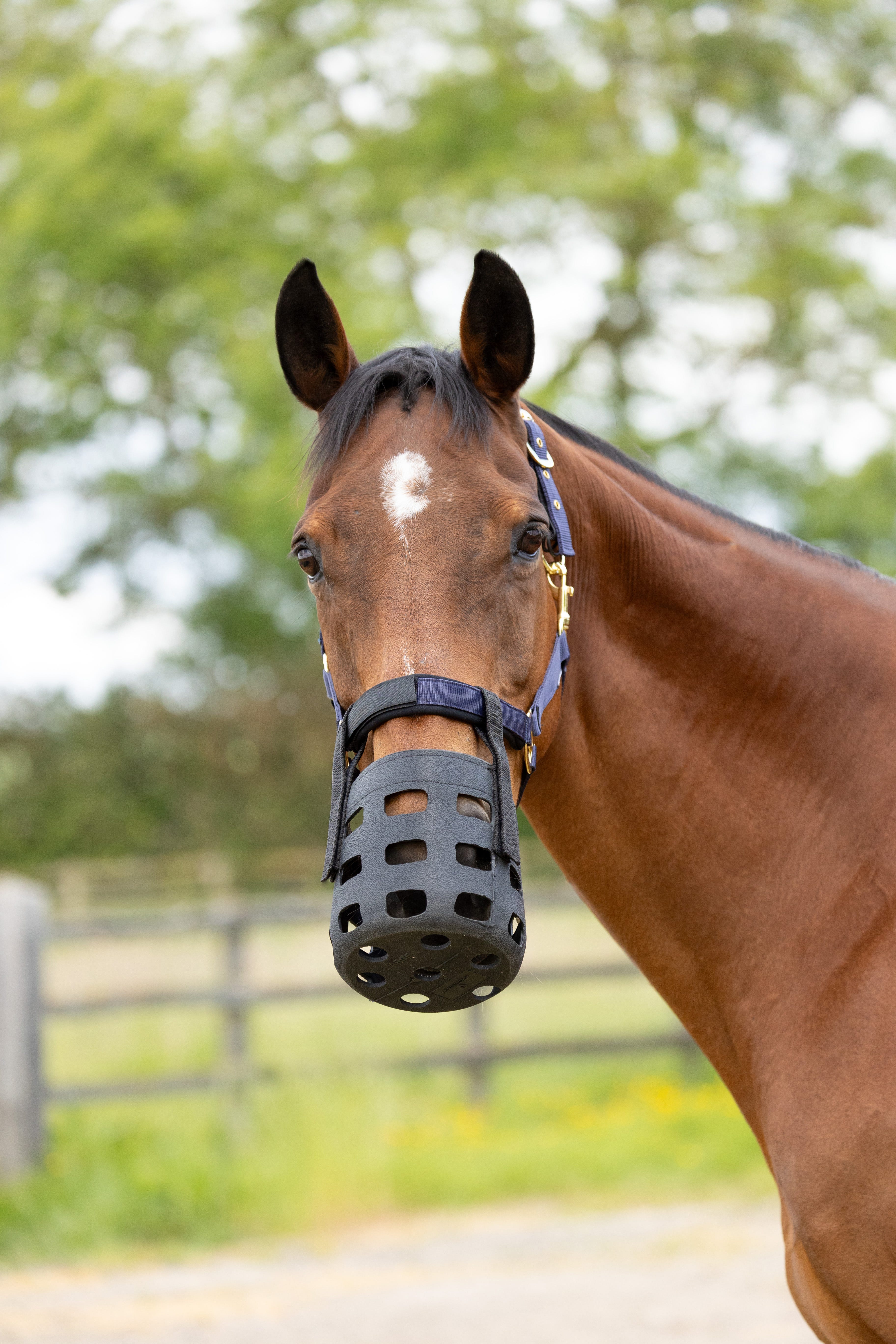 Hy Equestrian Rubber Muzzle image 6